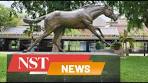 A final gallop at Penang Turf Club