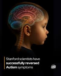 Stanford researchers have found a way to switch off autism-like behaviors  in mice. In a landmark study, researchers at Stanford Medicine identified  the reticular thalamic nucleus as a central driver of autism-like