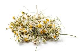1800flowers.com has been visited by 100k+ users in the past month Dried Chamomile Flowers On White Stock Photo Image Of Herbs Blooming 119322582