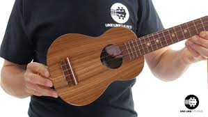 Kala very proudly says that they produce the world's best ukulele under their brand name. Koaloha Ukulele Review 2021 Uke Like The Pros Blog