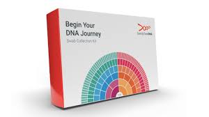 The Best Dna Testing Kits For 2019 Cnet