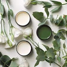 Pinterest aesthetic green green aesthetics green moodboard moodboard soft green moodboard soft green aesthetic soft green Tumblr Is A Place To Express Yourself Discover Yourself And Bond Over The Stuff You Love It S W Green Aesthetic Green Aesthetic Vintage Sage Green Aesthetic