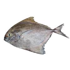Either something sacred to which access is forbidden to the people who are not in a state of purity or who are not initiated into the sacred knowledge; Are All Fish Halal In Islam