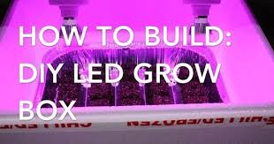 The top reason most people get interested in a diy led grow light is to save money. Starting Seeds With A Diy Grow Light Box Diy Grow Light Diy Plant Light Led Diy