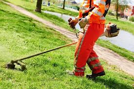 Explore other popular home services near you from over 7 million businesses with over 142 million reviews and opinions from yelpers. Blogs Desert Landscape Company