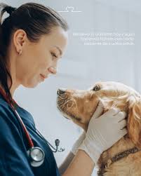 Cherokee Revolution tiene una amplia variedad de uniformes que están  esperando por ti!! ¡Comienza el año con tu srcub nuevo! 😁🥼*Este mes con  10%off en modelos seleccionados Comunícate al: https://wa.link/oqar8q 🇵🇪  Delivery