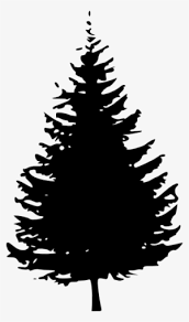 You can use these free cliparts for your documents, web sites, art projects or presentations. Evergreen Tree Png Free Hd Evergreen Tree Transparent Image Pngkit