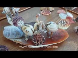 Bu saksıları eviniz bir çok farklı alanında kullanabileceğiniz gibi başkaları için özel günlerde hediye olarak. Deniz Kabuklarindan Muhtesem Sanat Eserleri Yapiyor Youtube