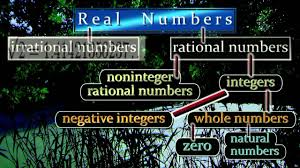 Real Numbers Hierarchy