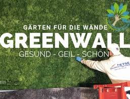 Eine Grune Wand Mit Echtmoos Und Edlem Holzrahmen In Eicheoptik Fur Einen Supermarkt Bio Logisch Betonoptik Grune Wand Malerarbeiten