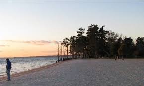 3 Lake Pontchartrain Beach Fontainebleau State Park Mandeville La New Orleans Beach New Orleans Travel Beach