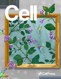 We did not find results for: Cell Journal Wikipedia