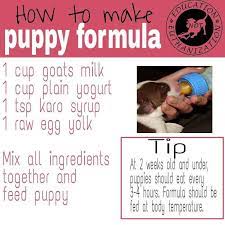 Puppy Formula Whelping Puppies Puppy Formula Newborn Puppy Care