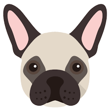 I'm pleased to announce my amazing litter of blue french bulldogs 4 girls 3 boys all will be kennel registered from clarges st mayfair not some kennel club that as just stated.vet checked microchipped and come with. Personalised French Bulldog Gifts Presents Yappy Com