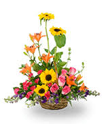 Sympathy flower, funeral flower, sympathy flowers smyrna ga, funeral fllowers, funeral flowers to, wreath, spray, casket flower, funeral basket, flowers to funeral. Flowers To Cardinal Funeral Home Toronto Ontario On Same Day Delivery By A Local Florist In Toronto