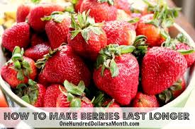 Check spelling or type a new query. How To Make Berries Last Longer One Hundred Dollars A Month