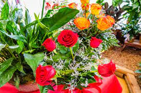 We support longview high school, texas amvets, many local churches and our public library. The Flower Peddler Theflwrpdler Twitter