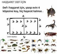 seher kilic adli kullanicinin kismet panosundaki pin guzel soz dualar tintin
