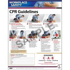 Cpr Guidelines Instructional Chart