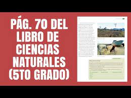 1, 2, 3, 4, 5, 6, 7, 8, 9, 10 grado de básico. Pag 70 Del Libro De Ciencias Naturales Quinto Grado Youtube