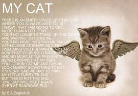 My Cats Love You Seas And Jasper And Maggi Crazy Cats Pet Remembrance Pet Poems