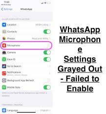 I had wireless mic app before but it had too big delay. How To Enable Disable Microphone To Whatsapp On Iphone In 2021