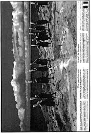 Goldman, c�line dion et gainsbourg pl�biscit�s. Https Www Jstor Org Stable 42843264