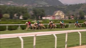 Maybe you would like to learn more about one of these? Haflinger Galopprennen In Meran Youtube