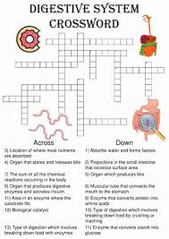 Digestive System Worksheet Answers Unique Biology Crossword Puzzle The Digestive System Includes In 2020 Digestive System Worksheet Digestive System Body Systems