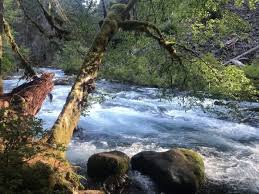 I Pinimg Com 736x 1d 47 10 1d471032c3fdbcc1c0d8