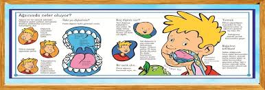 fen sokagi panosundaki pin