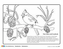 During winter, places experience the shortest days and lowest temperatures. Winter Cardinal Coloring Handout Art Sphere Inc