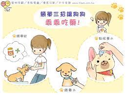 簡單三招讓狗狗乖乖吃藥 ipet 愛寵物 comics peanuts comics art