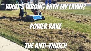 Steel tines on a rake are very strong and inflexible, making them perfect for removing thatch from a yard or spreading out heavy materials such as stones or rocks. Why And How To Power Rake Or Dethatch A Lawn Youtube Dethatching Outdoor Diy Projects Lawn