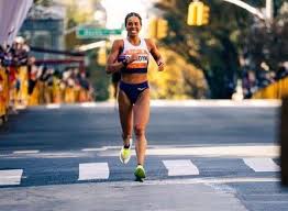 Image result for Felicia mossamedensis