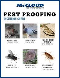 Pest exclusion previous next pest exclusion one of the best ways to control pests is thru pest exclusion. Pest Proofing Your Building Inside And Out Mccloud Pest Solutions