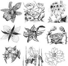 Check out how to paint different flowers and leaves | step by step instructions.hope you will enjoy watching this video. How To Draw Flowers In A Vase Flower Drawing Drawings Different Types Of Flowers