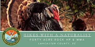 Hikes with a Naturalist - Forty Acre Rock Heritage Preserve