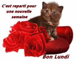 Image result for bonne semaine gif