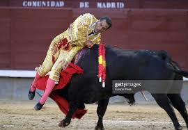 Image result for ivan fandiño