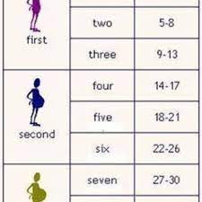 The weeks into months pregnancy calculator converts the amount of time you've been pregnant from weeks into the equivalent number of months. 12 Weeks Pregnancy Symptoms More New Mums Hub