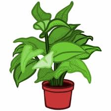 Plant face portrait effect photoshop tutorial. Potted Plant Png Images Potted Plant Transparent Png Vippng