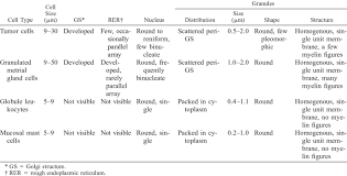Cells are the structural units of all living things. Comparison Of Ultrastructural Characteristics Of The Tumor Cells Download Table