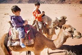Do i need a college degree to be a pilot? Camel Tours Wadi Rum Bedouin Directions