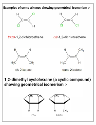 Draw Cis And Trans Isomers Of The Following Compounds. Also Write Their  Iupac Names:(I) Chci=Chci(Ii)  {{Text{C}}_{Text{2}}}{{Text{H}}_{Text{5}}}{Text{Cc}}{{Text{H}}_{Text{3}}}{Text{  = Cc}}{{Text{H}}_{Text{3}}}{{Text{C}}_{Text{2}}}{{Text{H}}_{Text{5}}}