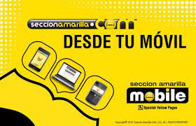 Seccion Amarilla