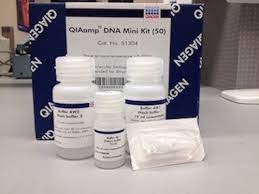 Dna isolation with qiagen qiaamp dna mini kit. Qiaamp Dna Mini Kit Biocompare Com Kit Reagent Review