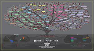 Coffee Family Tree