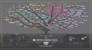 coffee family tree