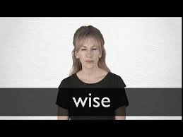 Hindi Translation Of Wise Collins English Hindi Dictionary Here you can find the translation of the 50 most important words and expressions into hindi.